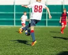 八村塁加盟,助阵球队,东契奇期望,足彩,体彩,彩票,体育彩票,足球彩票,彩票合买,中彩网