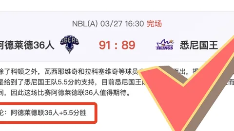 弗里克分析：欧冠期号专家特殊战术解析