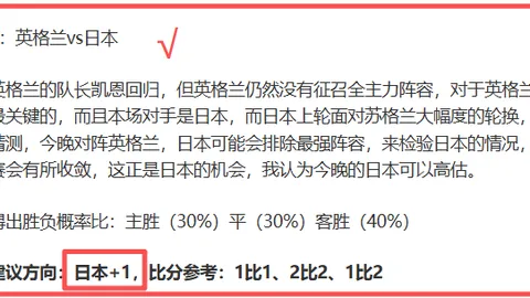 维罗纳主场表现预测：意甲专家质合分析期号推荐